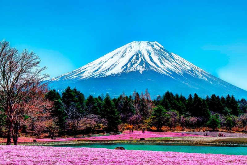 Rota dos samurais com guia em português