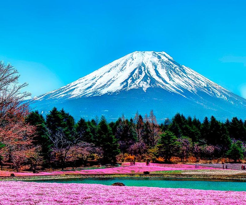 Rota dos samurais com guia em português
